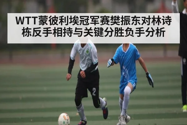 WTT蒙彼利埃冠军赛樊振东对林诗栋反手相持与关键分胜负手分析 | HTH.com